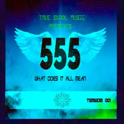 What Does It All Mean - EP by 555 album reviews, ratings, credits
