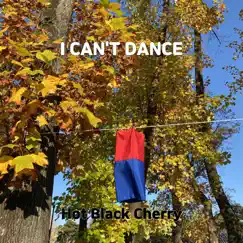 I Can't Dance Song Lyrics