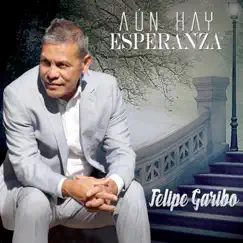 Aún Hay Esperanza by Felipe Garibo album reviews, ratings, credits