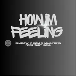 How Im Feeling - Single (feat. First_Lady_Soul) - Single by Shadow_v_bom & Mally King album reviews, ratings, credits