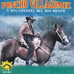 Camino Equivocado by Poncho Villagomez y Sus Coyotes del Rio Bravo album reviews, ratings, credits