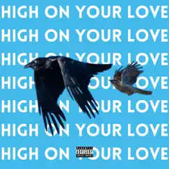 High On Your Love - Single by Cosmic Chesh album reviews, ratings, credits
