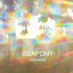 Dreaming - Single by Seapony album reviews, ratings, credits