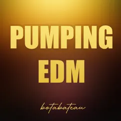 Pumping Edm Song Lyrics