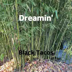 Dreamin' - Single by Black Tacos album reviews, ratings, credits