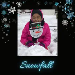 Snowfall (feat. Rand) - Single by Adwoa Dansowa album reviews, ratings, credits