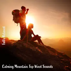 Calming Mountain Top Wind Sounds, Pt. 14 Song Lyrics