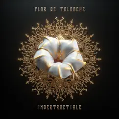 Indestructible by Flor de Toloache album reviews, ratings, credits