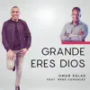 Grande Eres Dios - EP album lyrics, reviews, download