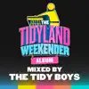 TidyLand (Mixed By the Tidy Boys) [DJ MIX] album lyrics, reviews, download