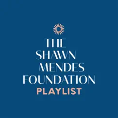 The Shawn Mendes Foundation Playlist by Shawn Mendes album reviews, ratings, credits