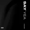 Say Yea - Single album lyrics, reviews, download
