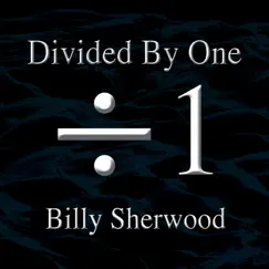Divided by One by Billy Sherwood album reviews, ratings, credits