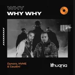 Why Why Why - Single by Dynoro, HVME & Gaudini album reviews, ratings, credits
