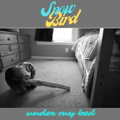 Under My Bed (feat. Sidechain Dodson) Song Lyrics