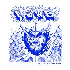 Better Late Than Never - EP by ROWE album reviews, ratings, credits