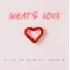 What's Love (feat. Sasha K.) - Single album lyrics, reviews, download