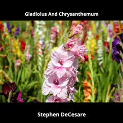 Gladiolus and Chrysanthemum - Single by Stephen DeCesare album reviews, ratings, credits