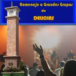 Homenaje a Grandes Grupos de Delicias - Single by Tito Camacho y Su Grupo Sensación album reviews, ratings, credits