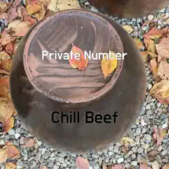 Private Number - Single by Chill Beef album reviews, ratings, credits