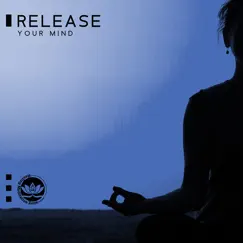 Release Your Mind: Meditation for Developing Self - Healing Energy by Healing Meditation Zone album reviews, ratings, credits