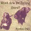 What Are We Doing Here - Single album lyrics, reviews, download