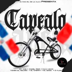 Capealo (feat. Kaly Ocho, Yomel El Meloso, El Cherry Scom, El Good & D'Flow Aka La Maldad) Song Lyrics