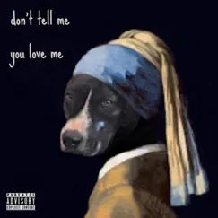 Don't Tell Me You Love Me (Extended) Song Lyrics