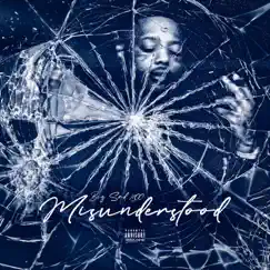 Misunderstood - Single by Big Sad 1900 album reviews, ratings, credits