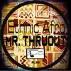 Ethnic Afro - Single album lyrics, reviews, download