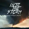 Into the Storm - Single album lyrics, reviews, download