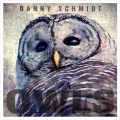 Owls by Danny Schmidt album reviews, ratings, credits