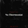 No Thermostat - Single album lyrics, reviews, download