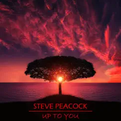 Up to You - Single by Steve Peacock album reviews, ratings, credits