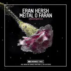 Underwater (Remixes) by Eran Hersh & Meital O Faran album reviews, ratings, credits