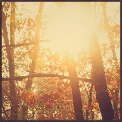 Late Autumn Light - Single by None the Younger album reviews, ratings, credits