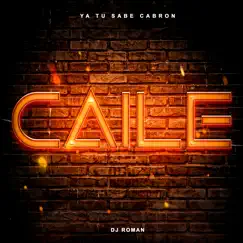 Caile (Turreo) - Single by DJ Roman album reviews, ratings, credits