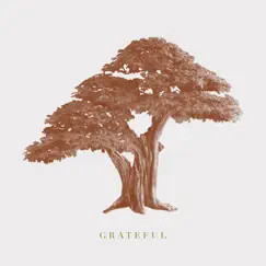 Grateful - Single by Shaunta Coburn album reviews, ratings, credits
