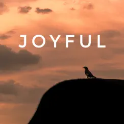 Joyful - Single by Actiziex album reviews, ratings, credits