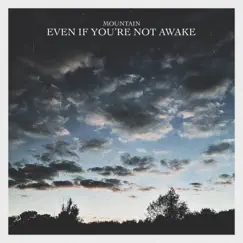 Even if You're Not Awake - Single by Mountain album reviews, ratings, credits
