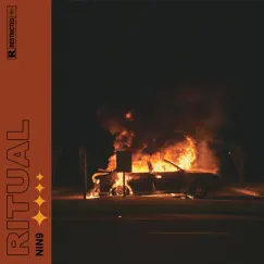 Ritual - Single by NIN9 album reviews, ratings, credits