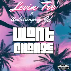 Won't Change (feat. Levin Tre) Song Lyrics