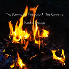 The Burning of Firewood At the Campsite - Single by Nature Calling album reviews, ratings, credits