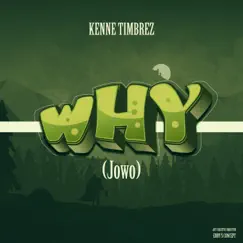 Why (Jowo) - Single by Kenne Timbrez album reviews, ratings, credits