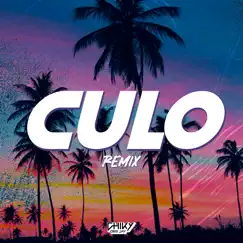 Culo (Remix) Song Lyrics