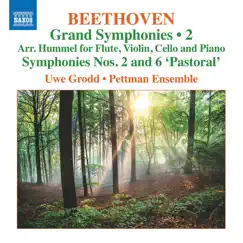 Beethoven: Grand Symphonies, Vol. 2 by Uwe Grodd & Pettman Ensemble album reviews, ratings, credits