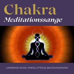 Afslappende Reiki Meditation Song Lyrics