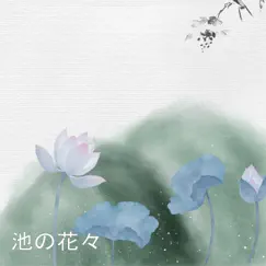 池の花々 by Dobon Ray album reviews, ratings, credits