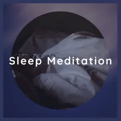 Sleep Meditation - Single by Evgeny Nazarenko album reviews, ratings, credits