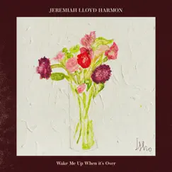 Wake Me Up When it's Over by Jeremiah Lloyd Harmon album reviews, ratings, credits